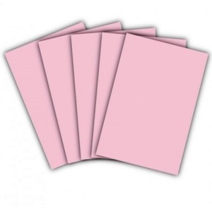 CARTOLINA 50X66CM 140GRS ROSA PACOTE C/100 FOLHAS