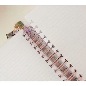 CADERNO 1/4 WIRE-O BUSY BEES BUENDIA