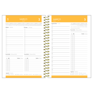 AGENDA 13x18,8CM BLUSH JOVEM MIOLO FUNCIONAL 2025 FORONI